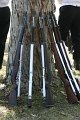 IMG_0195